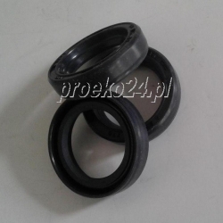 KIT 159 USZCZELNIENIA OLEJOWE INTERPUMP